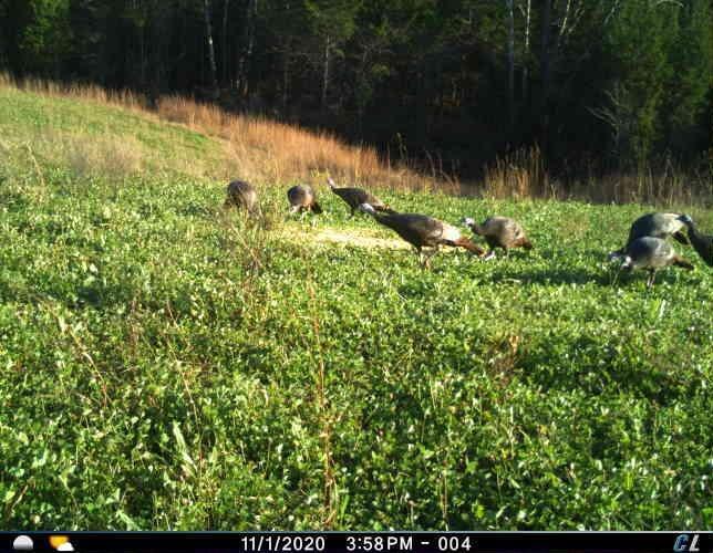 13491 Strait Creek Road Peebles, OH 45660 - Photo 23 of 28 Gallery Image 23