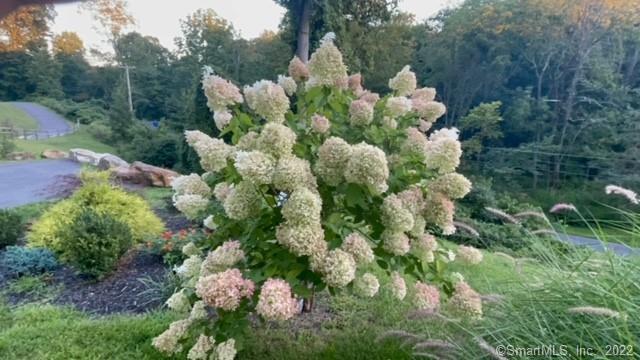71 Ledges Road Ridgefield, CT 06877 - Photo 28 of 34