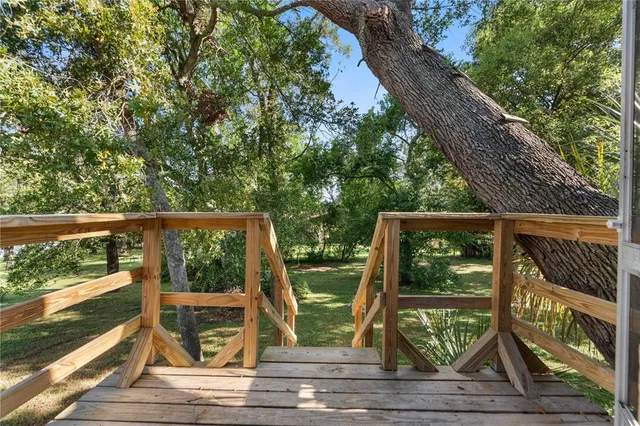 a view of a tree in the middle of a yard