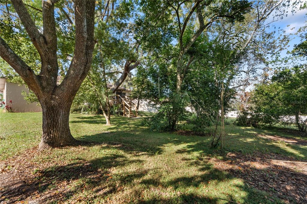 6007 Waycross Drive Spring Hill, FL 34606 - Photo 30 of 33 a view of a tree in the middle of a yard