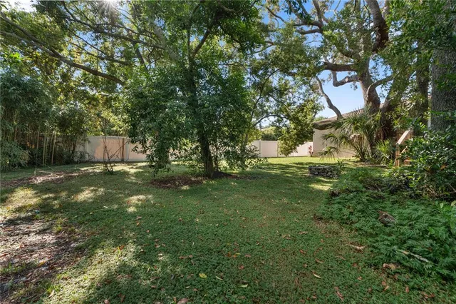 a view of a tree in front of a house with a yard