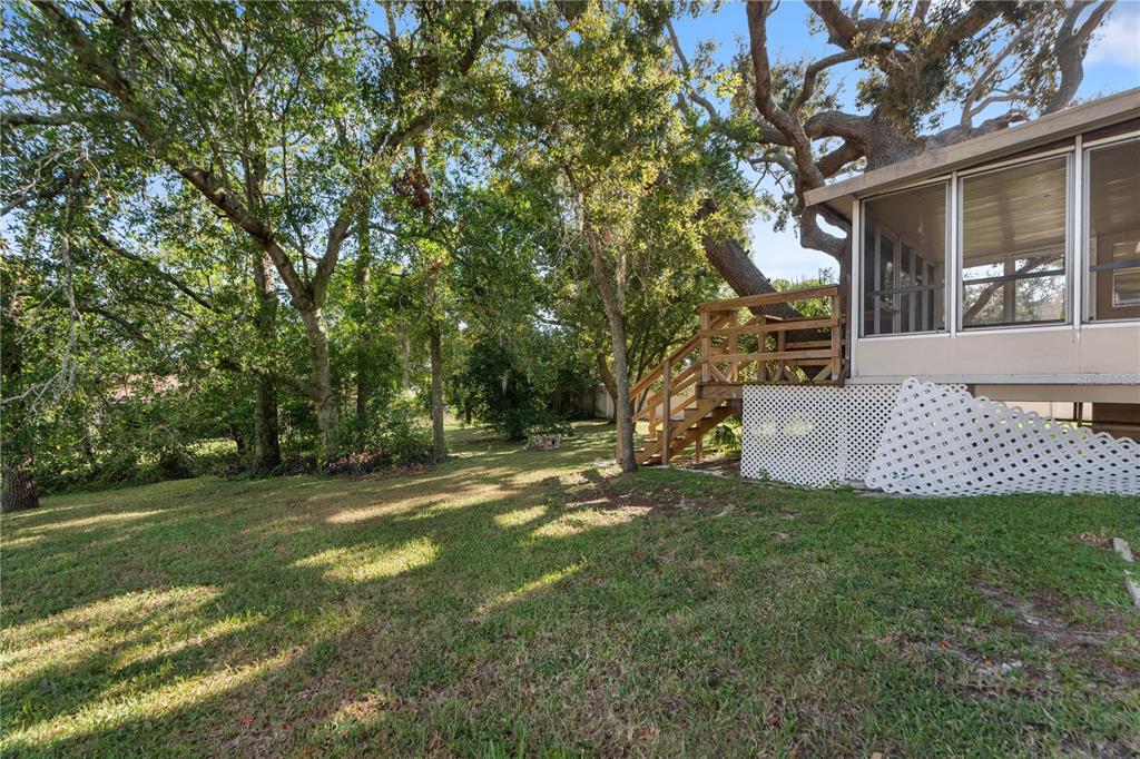 6007 Waycross Drive Spring Hill, FL 34606 - Photo 32 of 33 a view of a tree in front of a house