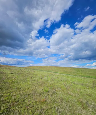 $190,000 | 52-xx Wagner Road, Springdale, WA 99173