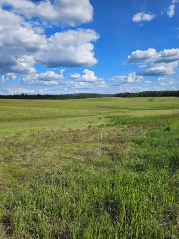 $190,000 | 52-xx Wagner Road, Springdale, WA 99173