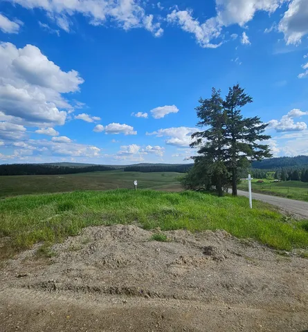 $190,000 | 52-xx Wagner Road, Springdale, WA 99173