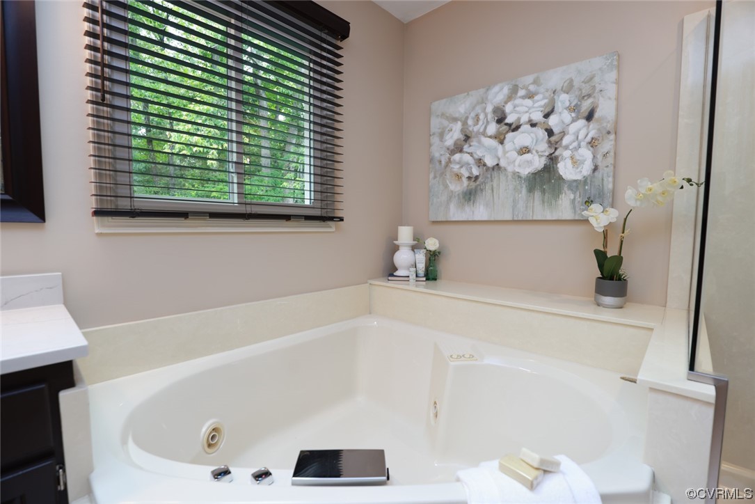 6314 Walnut Bend Drive Midlothian, VA 23112 - Photo 23 of 50 a bathroom with a bathtub and a window