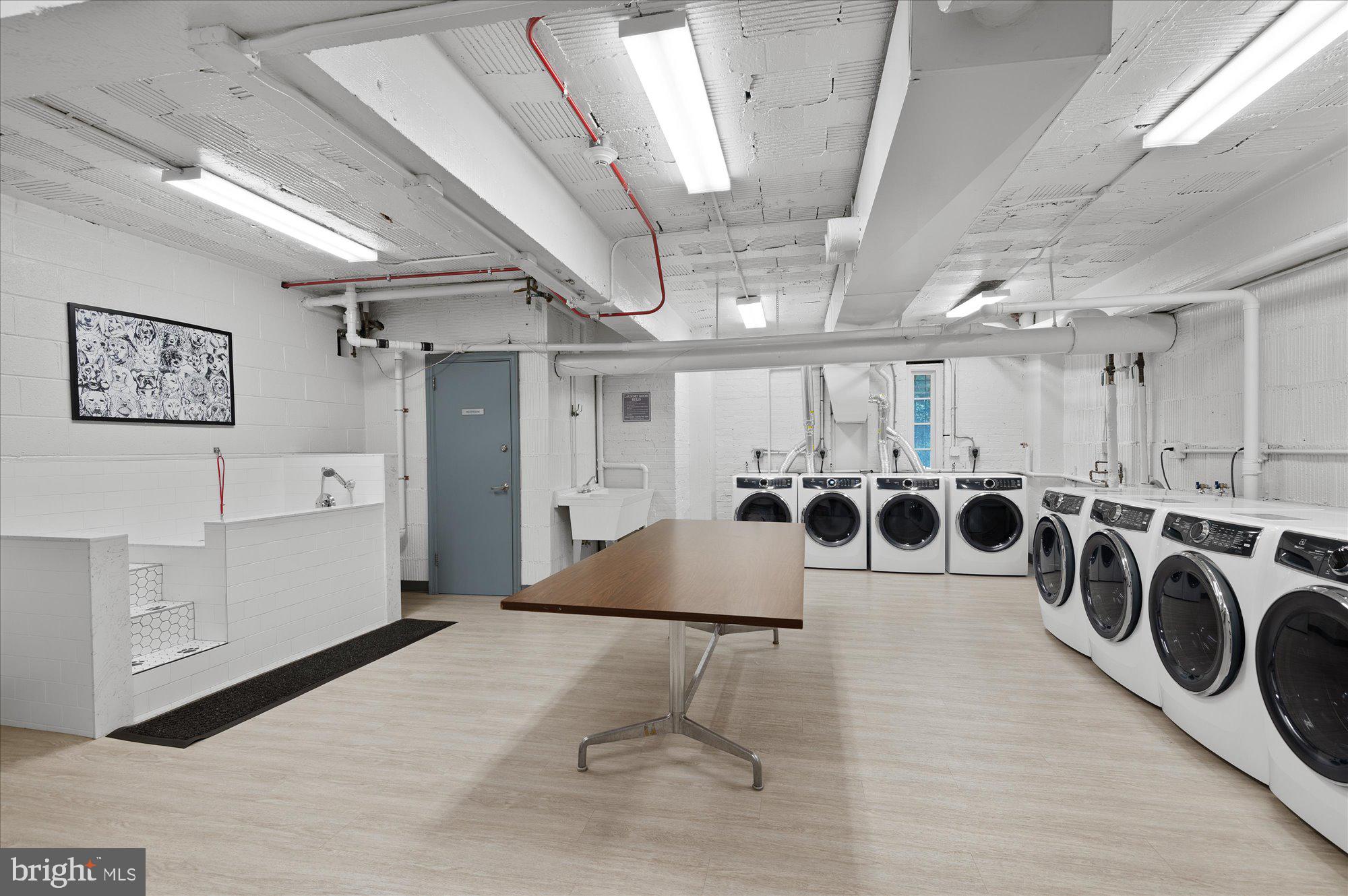 2101 Connecticut Avenue Northwest, Unit 36 Washington, DC 20009 - Photo 29 of 34 Laundry room w/ dog bath
