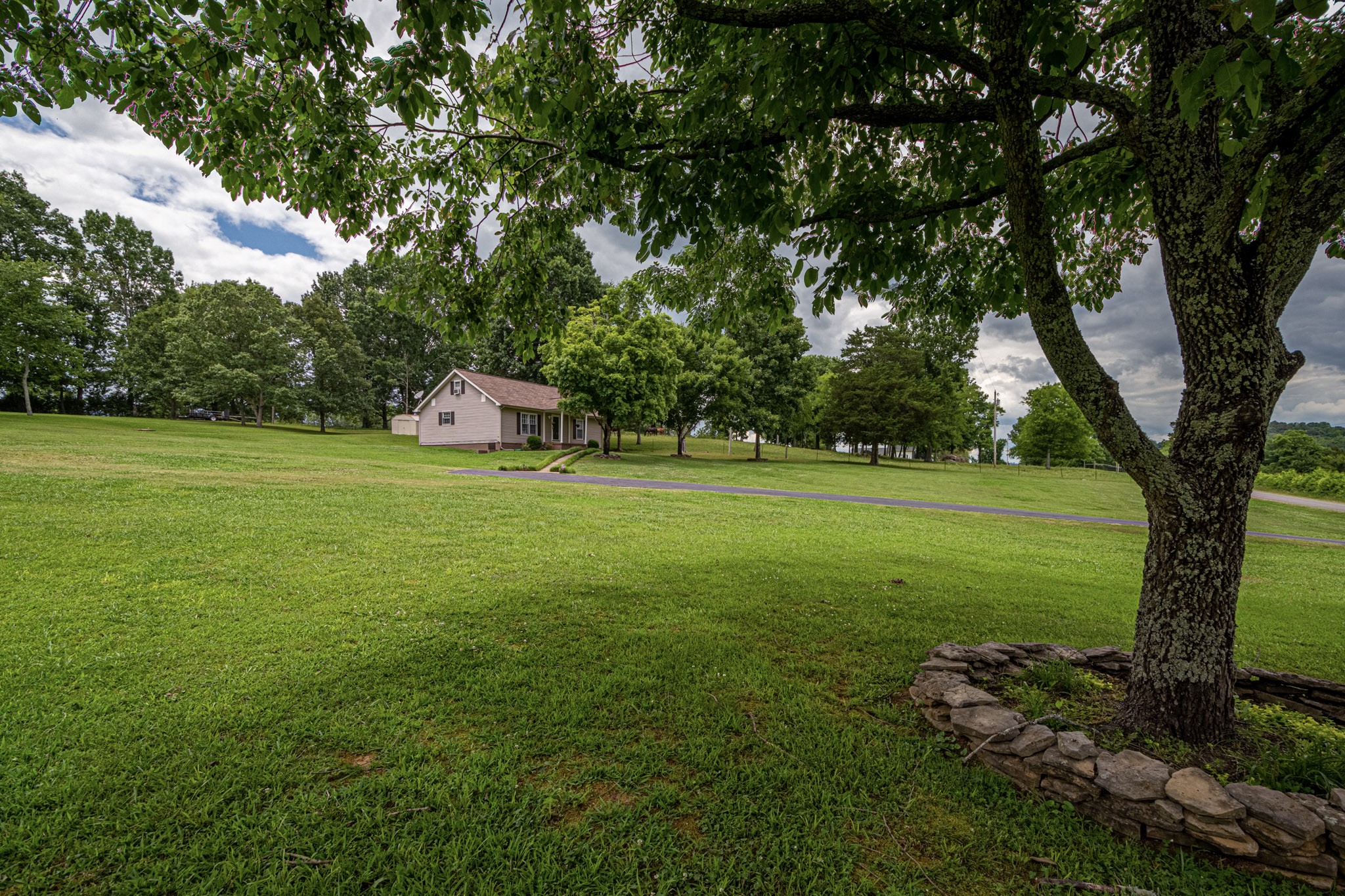 1921 Fiducia Road Pulaski, TN 38478 - Photo 8 of 45 a backyard of a house with lots of green space