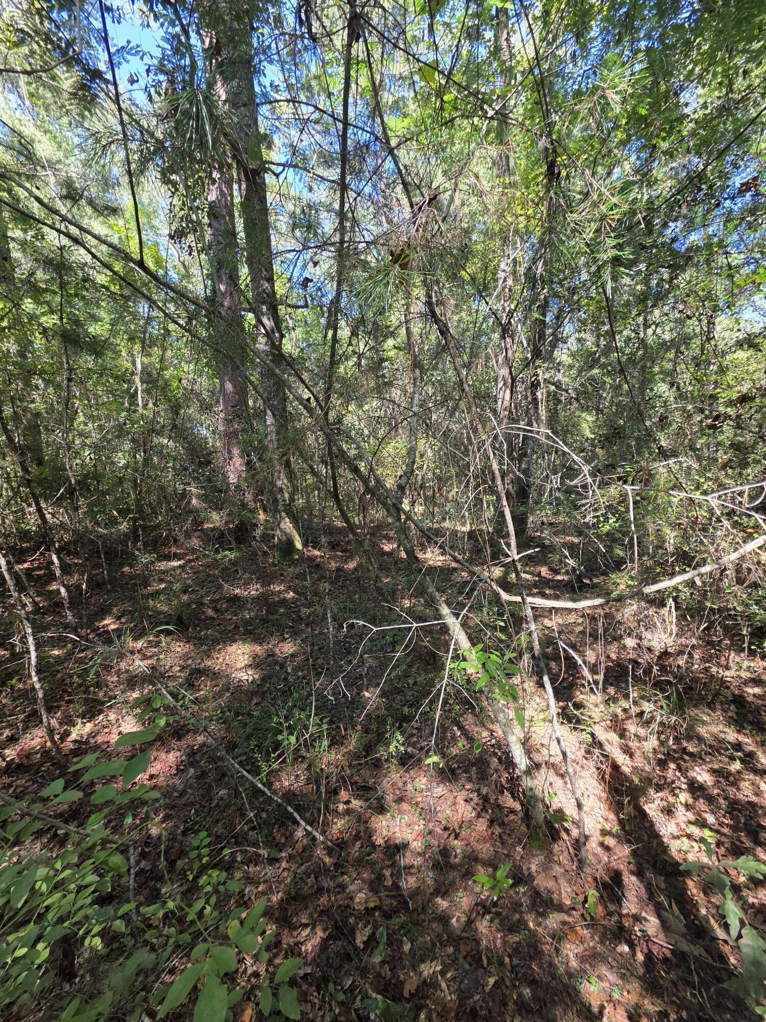 Lot 1-2 Antioch Road Crestview, FL 32536 - Photo 5 of 11 1000059452