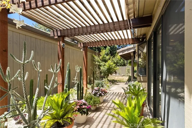 a close view of a backyard of a house