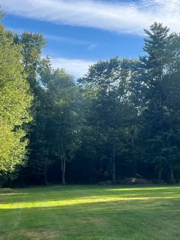 a view of a swimming pool and trees in the background