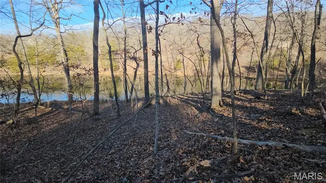 $22,000 | 25 Denby Lane, Lake Sherwood, MO 63357