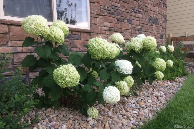 $850,000 | 8704 Yucca Street, Arvada, CO 80007