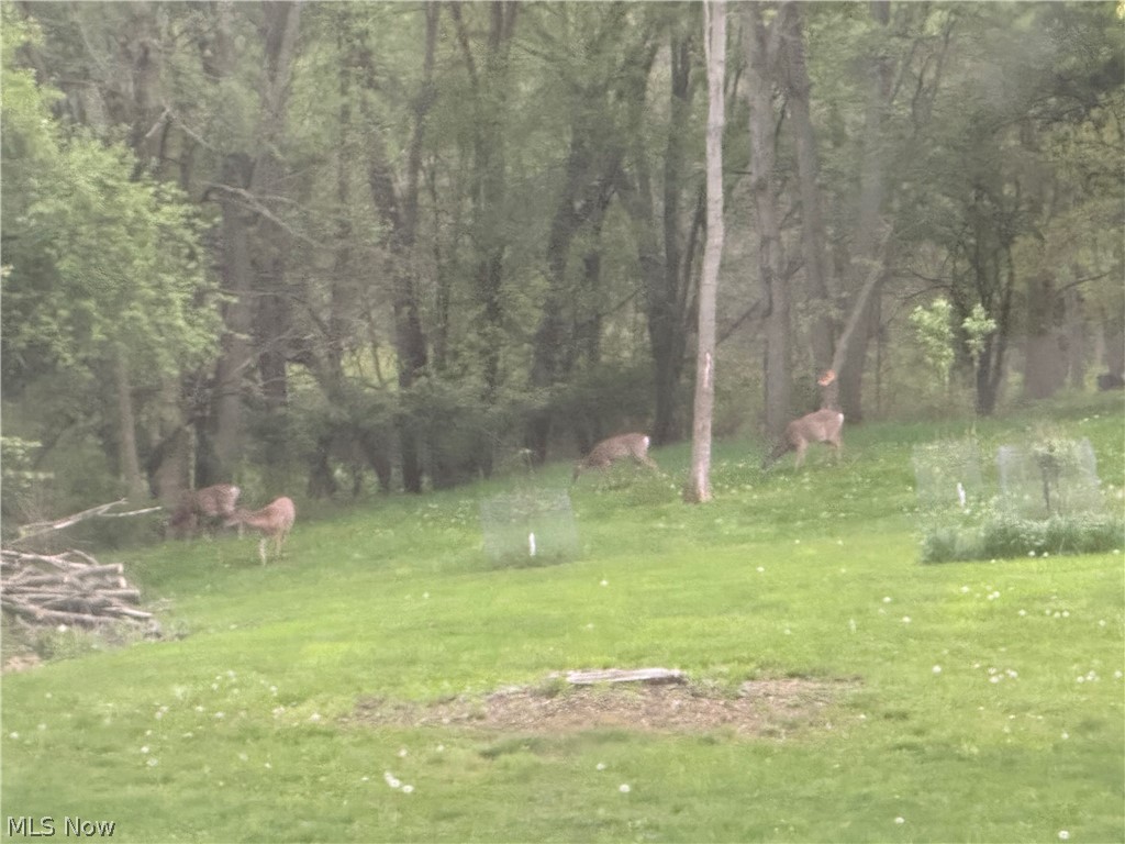 6258 Kennard Road Medina, OH 44256 - Photo 14 of 38