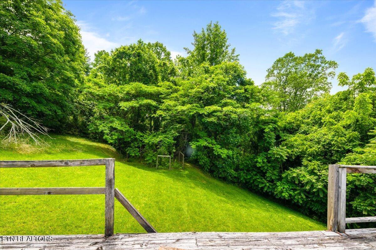 104 Jackson Road Andersonville, TN 37705 - Photo 12 of 37 Beautiful Acreage Surroundings