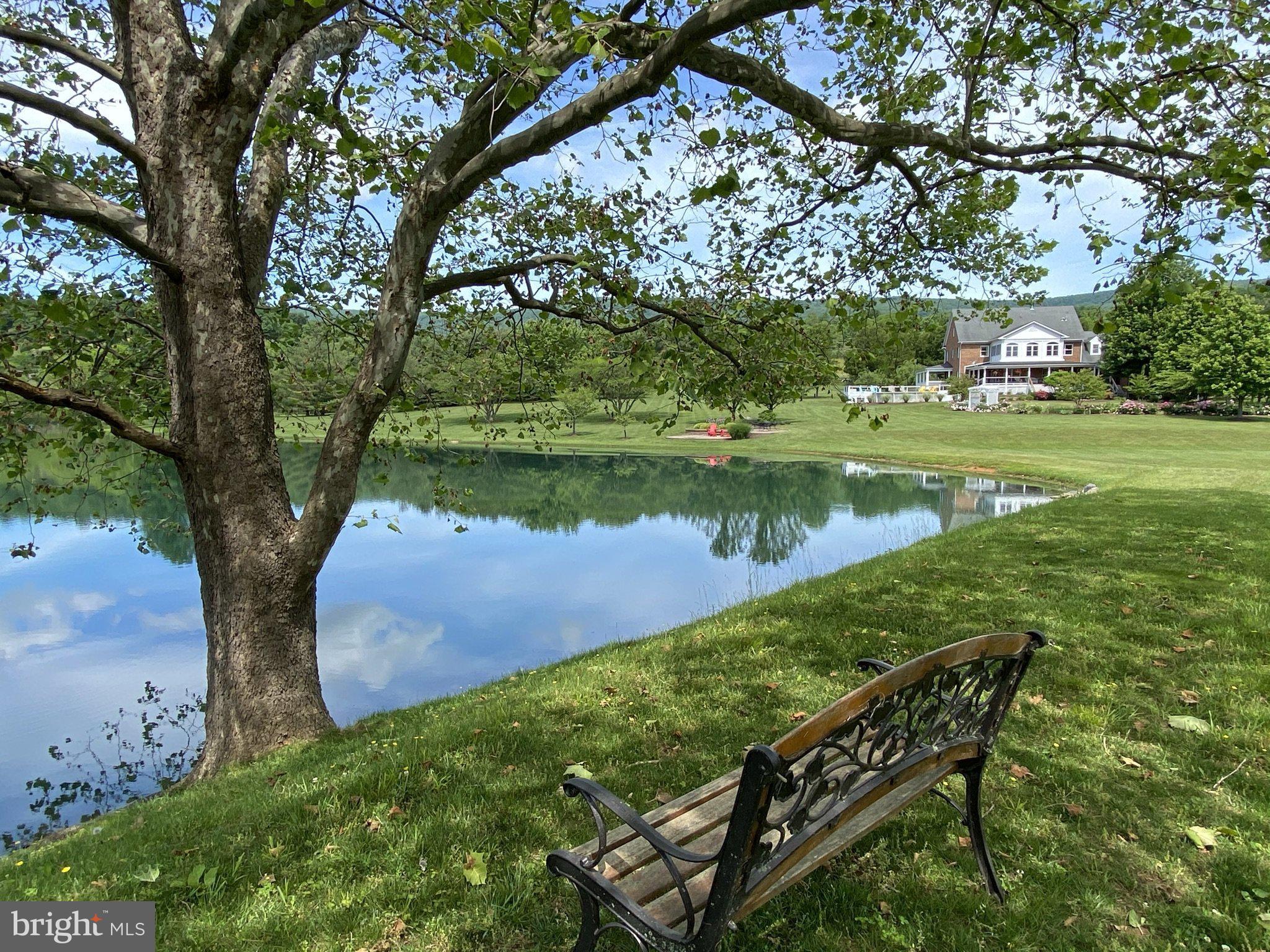 2999 Back Mountain Road Winchester, VA 22602 - Photo 106 of 137 Gallery Image 106