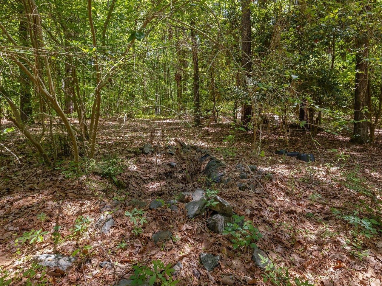 448 River Point Road Moncure, NC 27559 - Photo 37 of 57 Photo 37