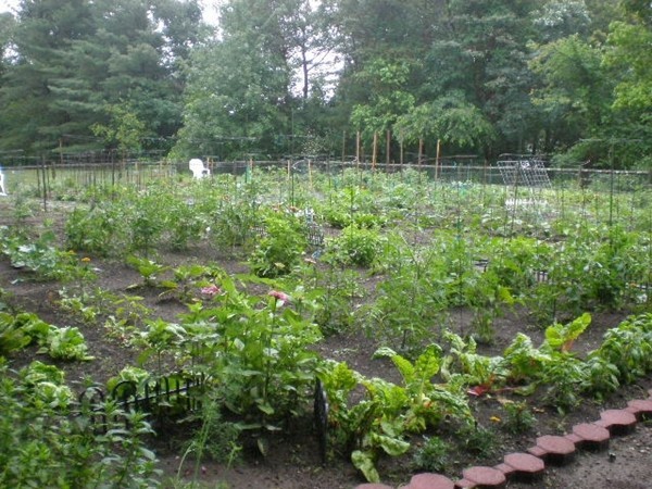 89 Fuller Pond Road, Unit 153 Middleton, MA 01949 - Photo 30 of 30 Gallery Image 30