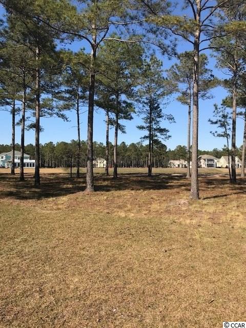 1147 Fiddlehead Way Myrtle Beach, SC 29579 - Photo 2 of 14 Gallery Image 2