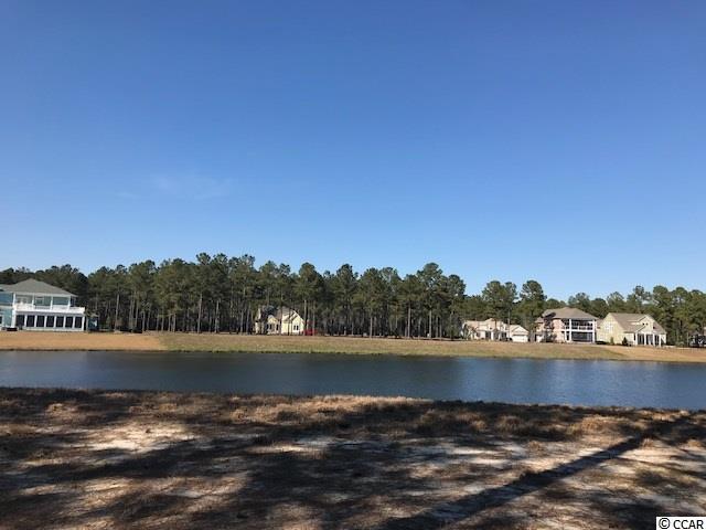 1147 Fiddlehead Way Myrtle Beach, SC 29579 - Photo 3 of 14 Gallery Image 3
