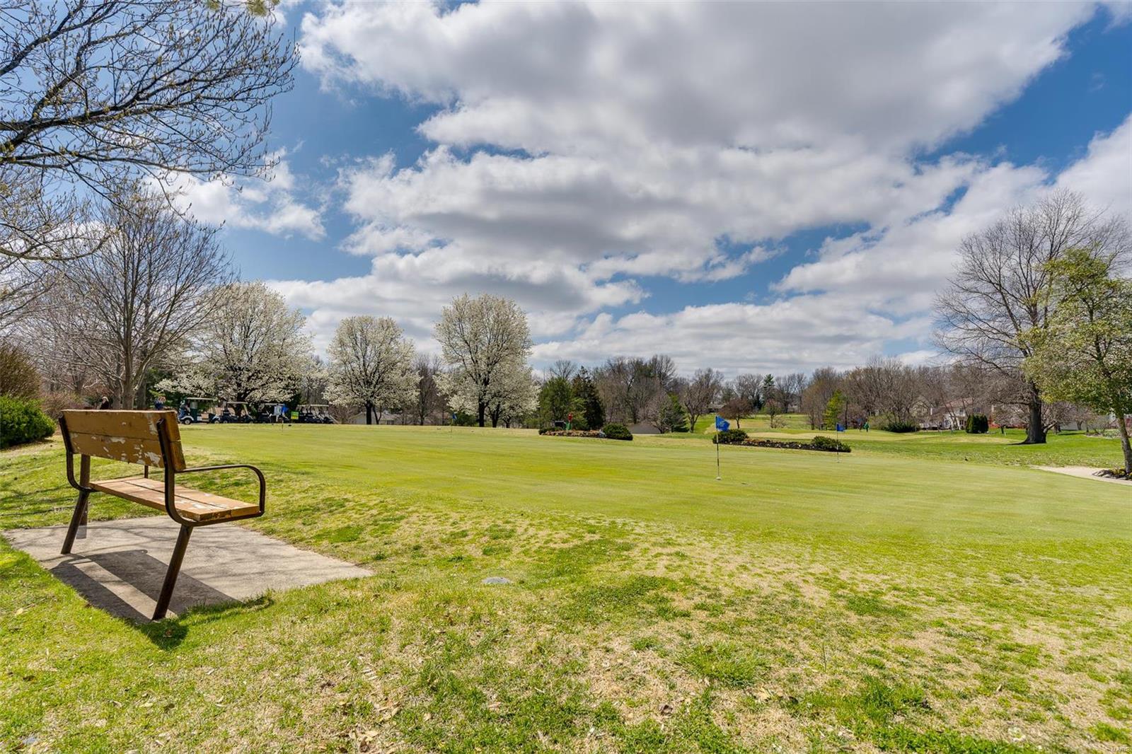 37 Ravens Pointe Lake St. Louis, MO 63367 - Photo 64 of 72