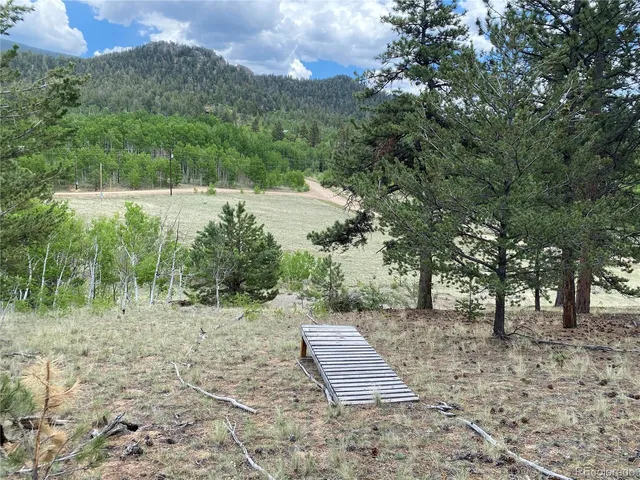a view of a yard with trees