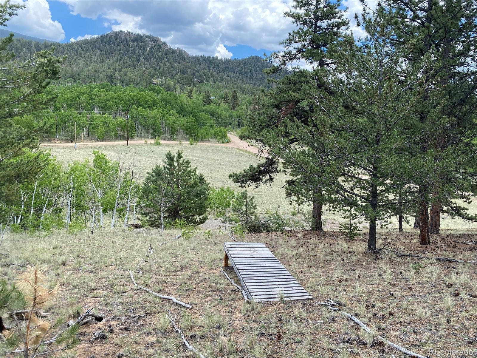 2071 Al Gulch Road Jefferson, CO 80456 - Photo 12 of 22 a view of a yard