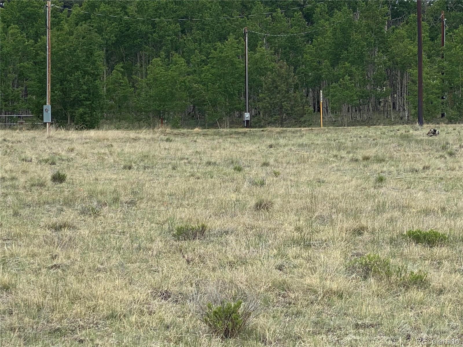 2071 Al Gulch Road Jefferson, CO 80456 - Photo 13 of 22 a view of a yard with trees