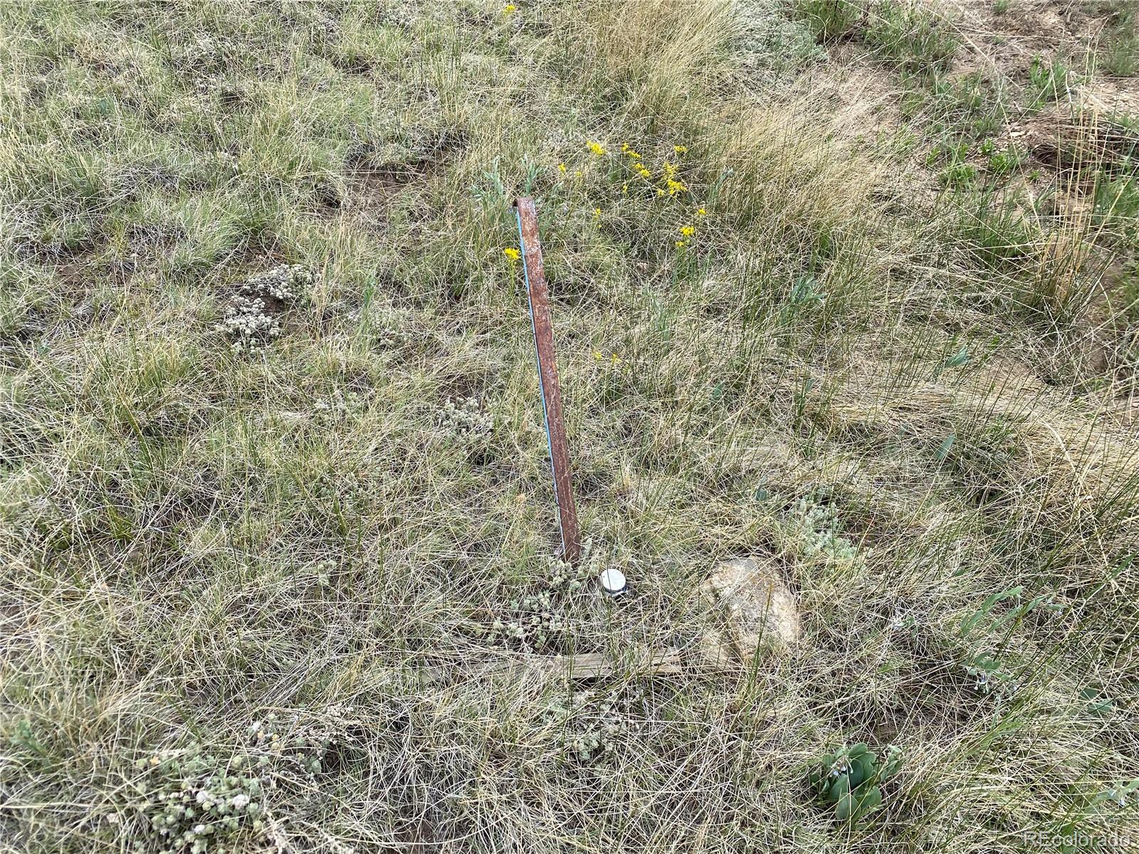2071 Al Gulch Road Jefferson, CO 80456 - Photo 14 of 22 a close up of a wall