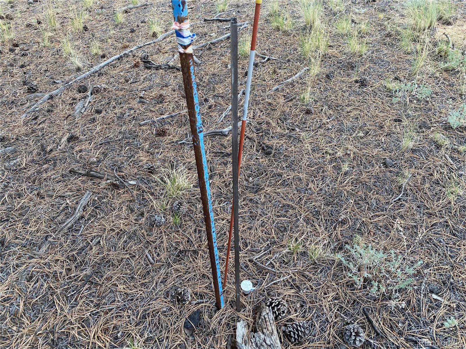 2071 Al Gulch Road Jefferson, CO 80456 - Photo 15 of 22 a view of a pathway with a yard