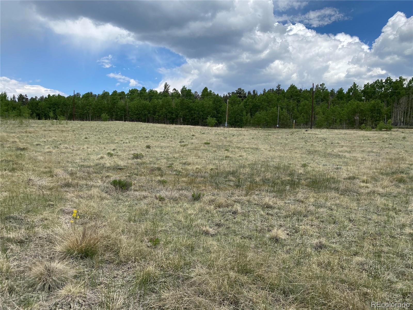 2071 Al Gulch Road Jefferson, CO 80456 - Photo 17 of 22 a view of a lake view
