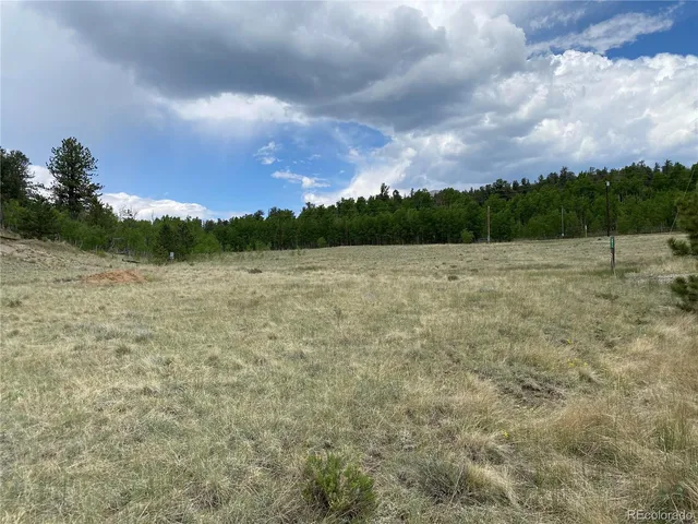a view of a field with trees in the background