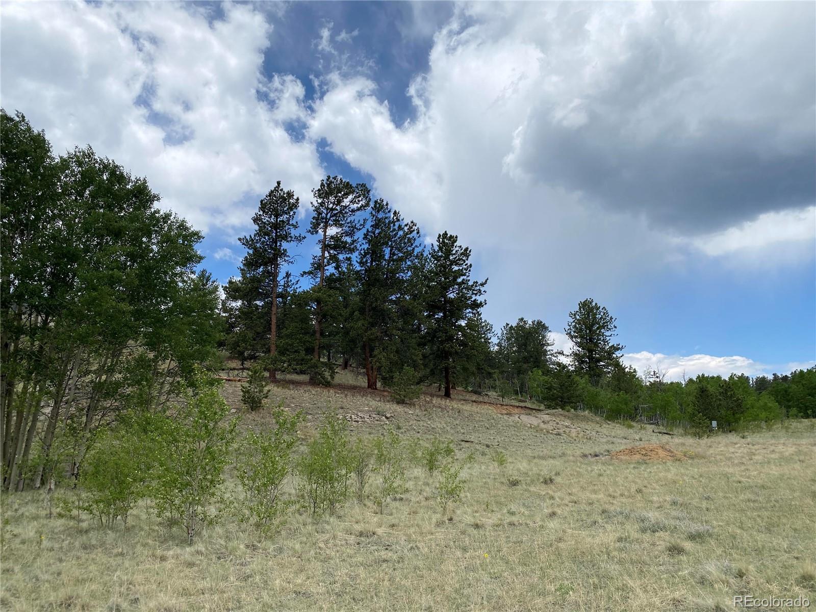 2071 Al Gulch Road Jefferson, CO 80456 - Photo 19 of 22 a view of a field with trees in the background