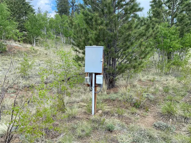 a view of a field with trees in the background