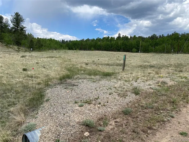 a view of a dry yard with trees