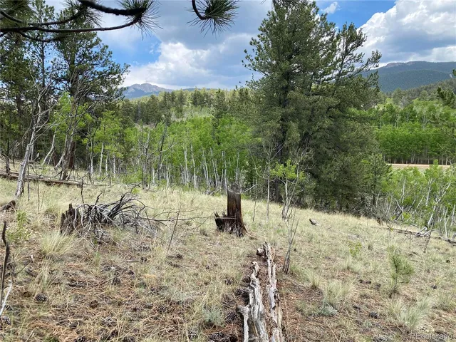 a view of outdoor space