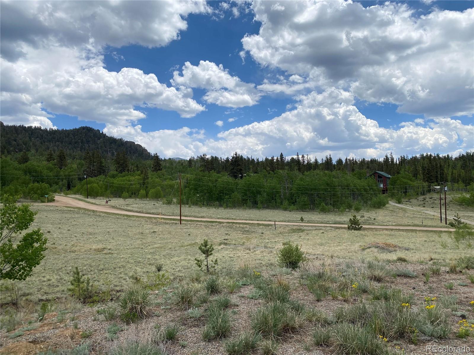 2071 Al Gulch Road Jefferson, CO 80456 - Photo 7 of 22 a view of outdoor space