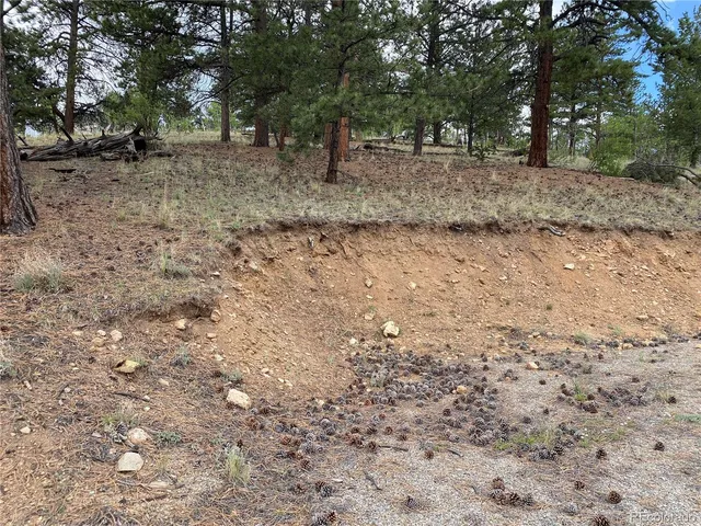 a view of a yard with trees in the background