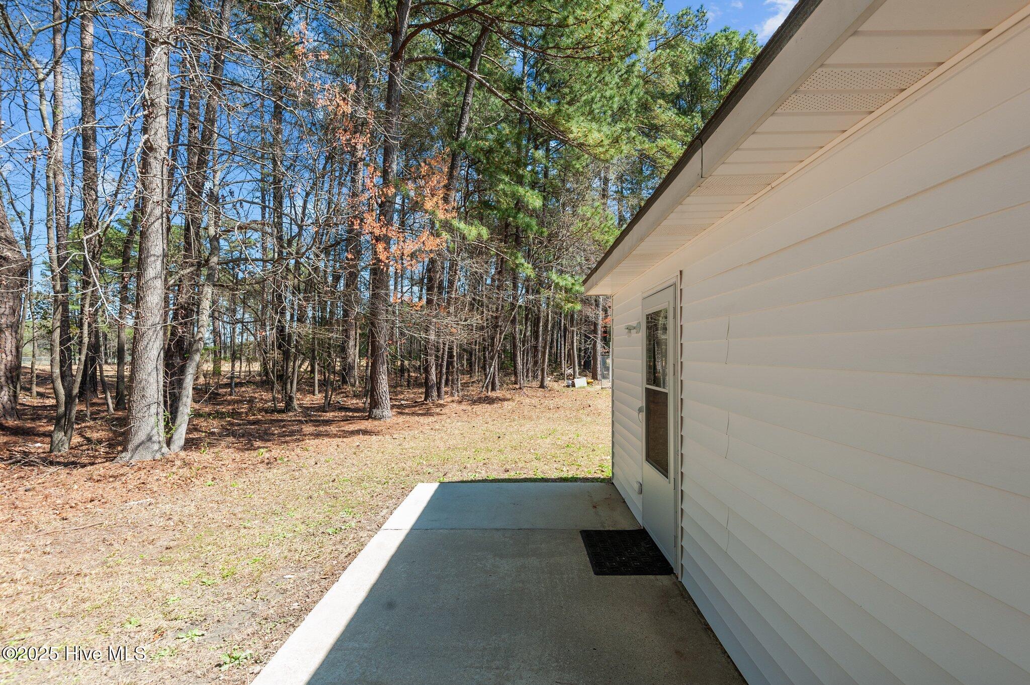 1803 Ruffleleaf Circle Wilson, NC 27893 - Photo 36 of 39 36-web-or-mls-_DSC6324
