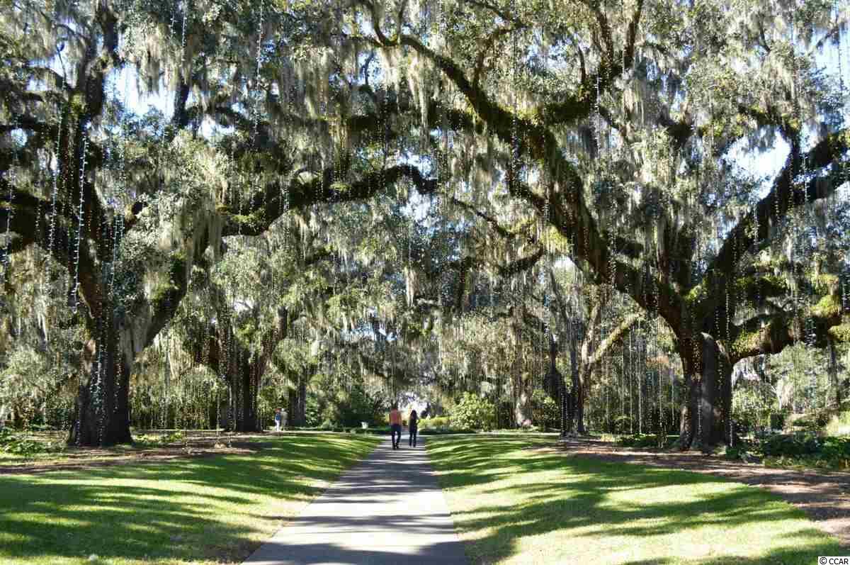 25 Turnbridge Court Murrells Inlet, SC 29576 - Photo 30 of 35 Gallery Image 30