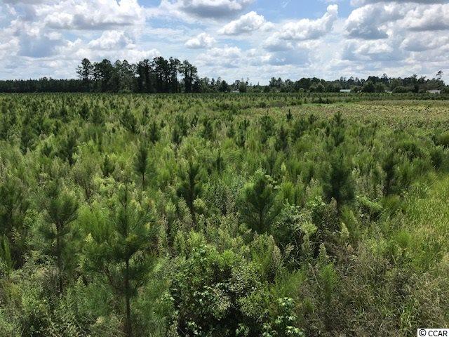 Tbd Wahee Road Marion, SC 29571 - Photo 2 of 8 Gallery Image 2