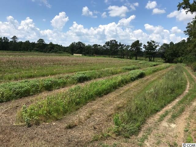 Tbd Wahee Road Marion, SC 29571 - Photo 3 of 8 Gallery Image 3