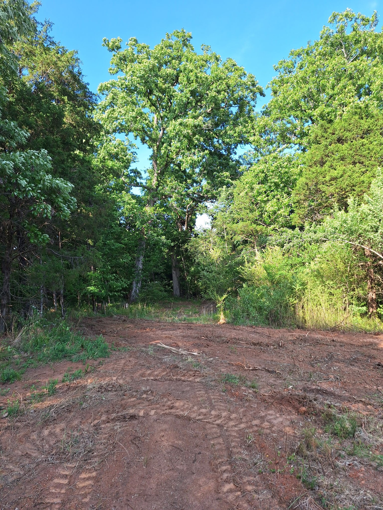 1 Bone Cave Road Rock Island, TN 38581 - Photo 8 of 9 Gallery Image 8