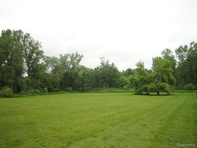 3313 Newark Road Attica, MI 48412 - Photo 23 of 23 #22 Yard View.jpg