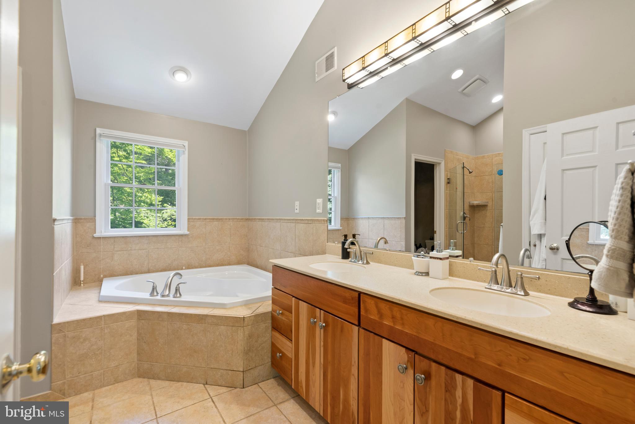 13 Spring Hollow Road Wayne, PA 19087 - Photo 13 of 34 Jetted tub