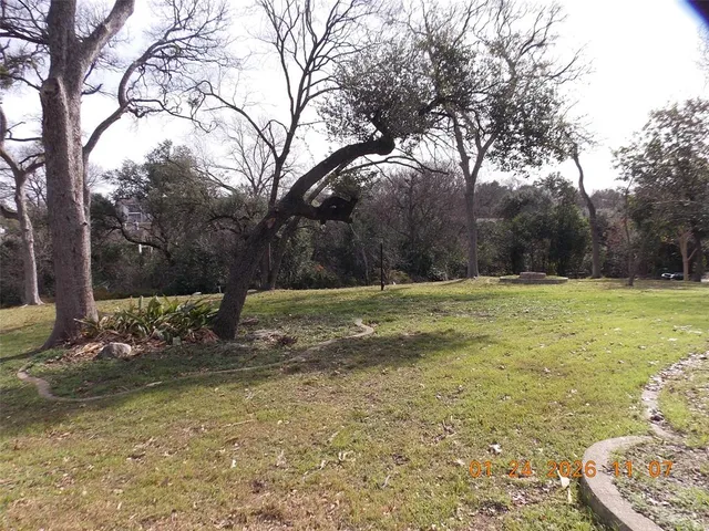 a view of a yard with large trees