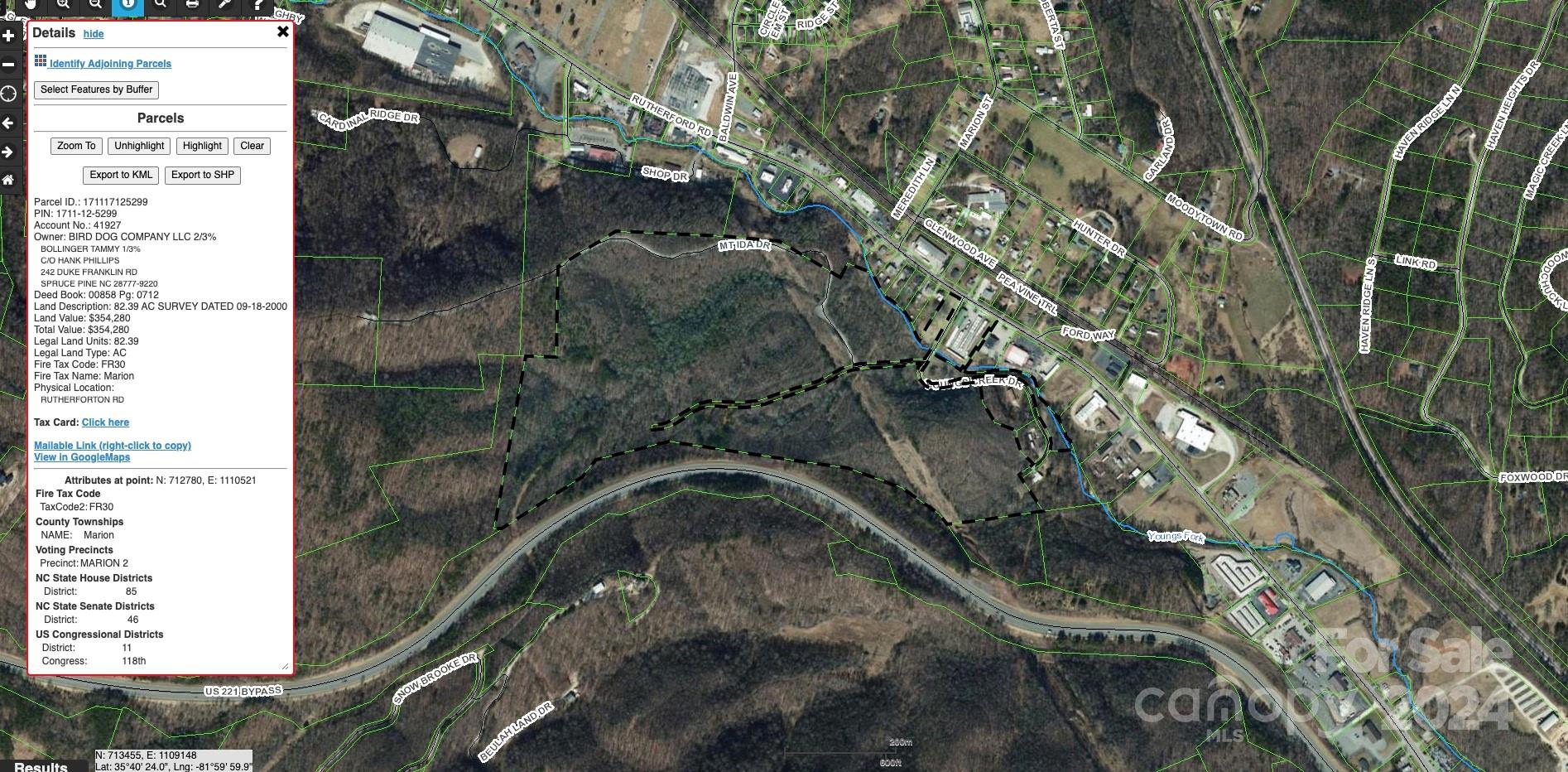 V/l Rutherford Road Marion, NC 28752 - Photo 4 of 4 a picture of a tree