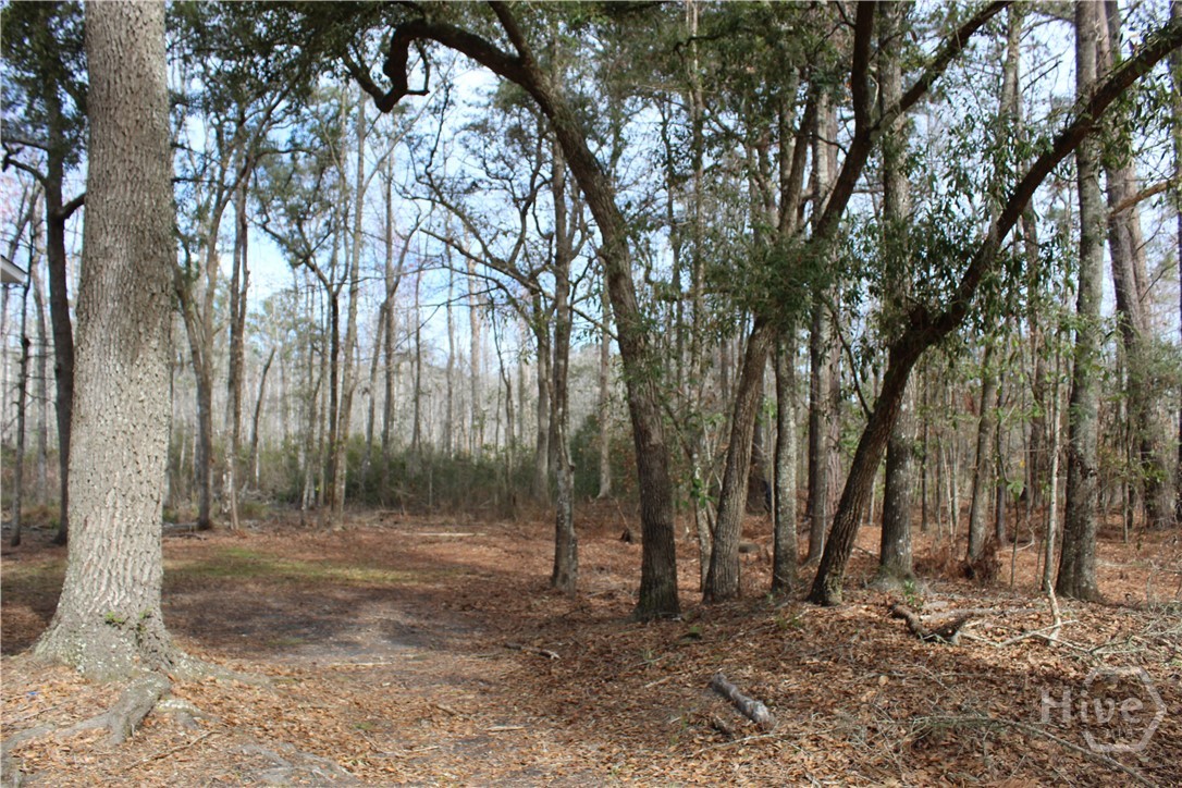 776 Phillips Road Midway, GA 31320 - Photo 6 of 16