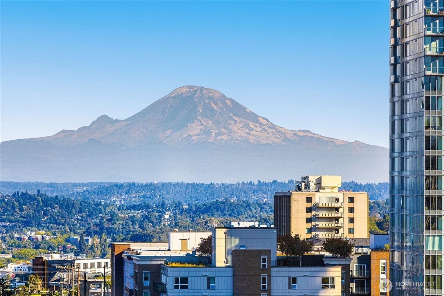 1105 Spring Street, Unit 1309 Seattle, WA 98104 - Photo 9 of 27