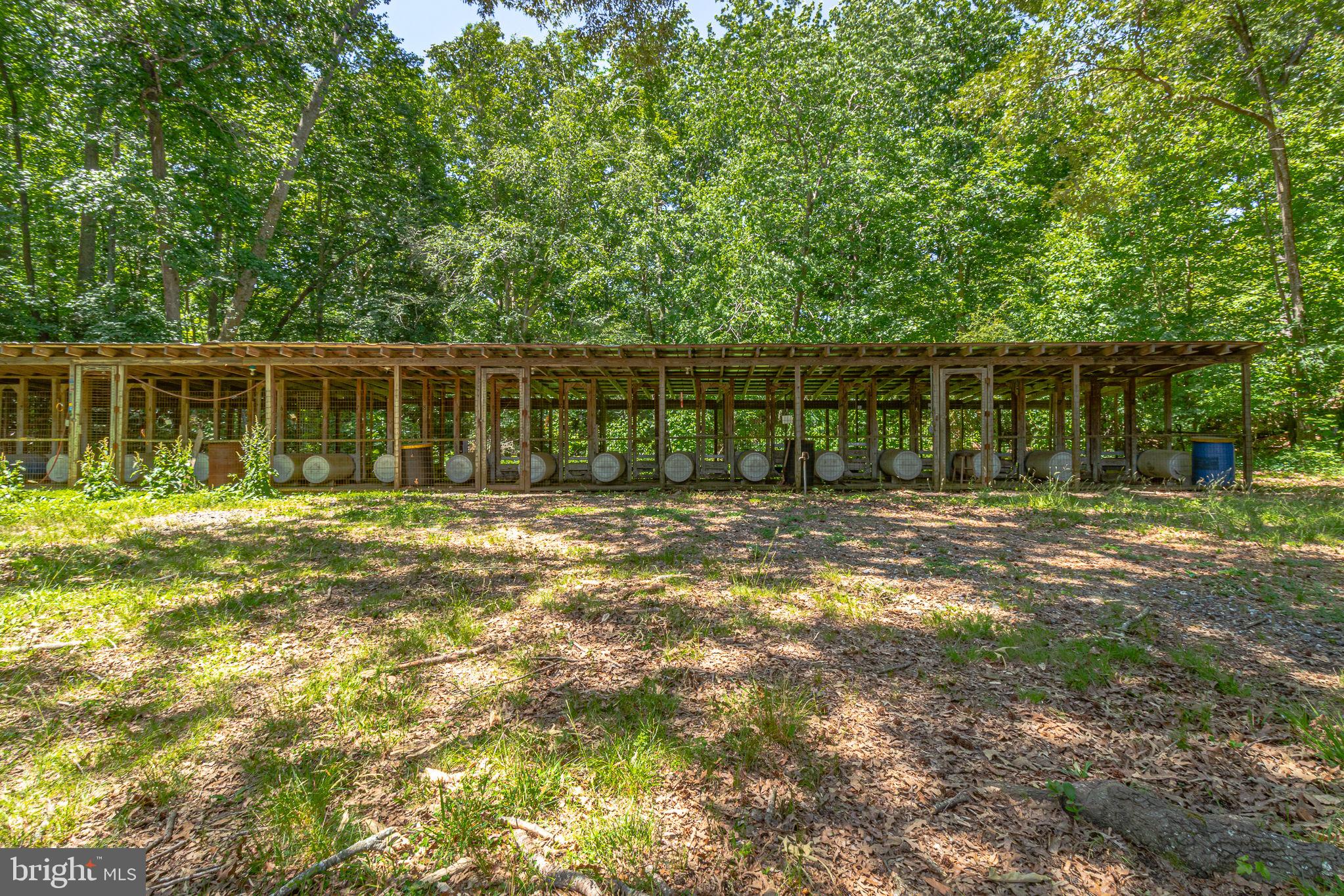 255 Knights Run Road Heathsville, VA 22473 - Photo 6 of 67 Kennels